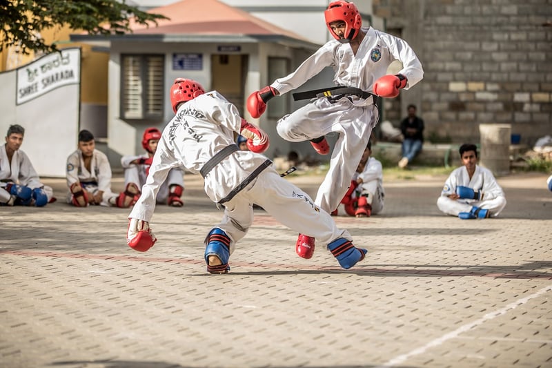 Taekwondo training