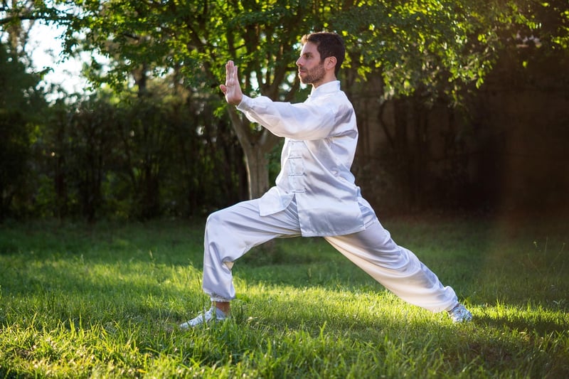 Chen Style Tai Chi practice